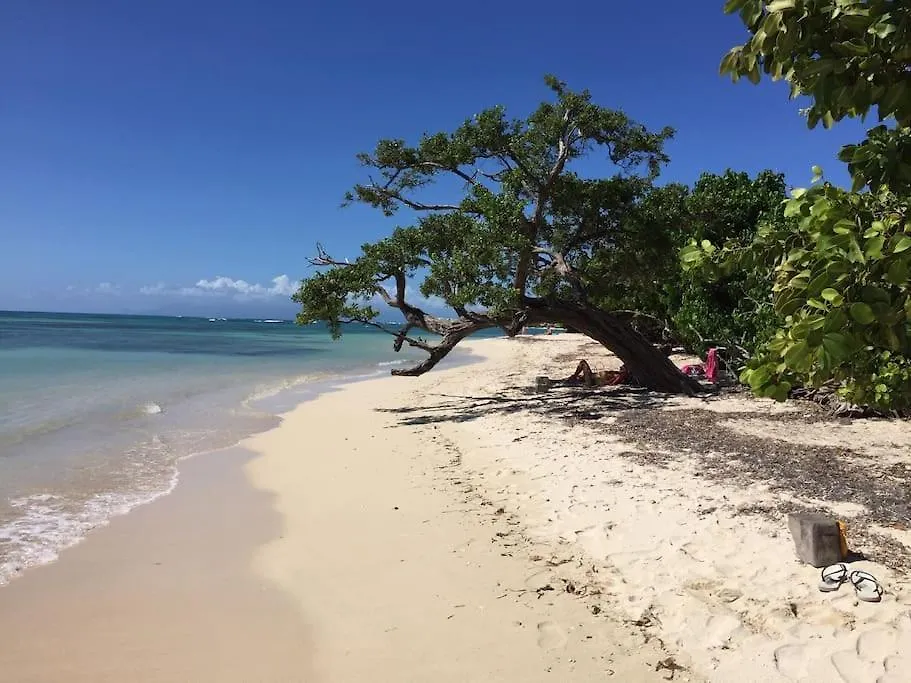Villa Petite Terre A 50 Metres De La Plage Saint-Francois  Dom wakacyjny